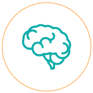 Funzione cognitiva