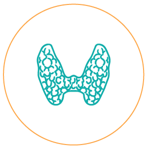 Tiroide