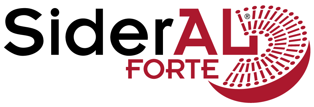 logo sideral forte 2021