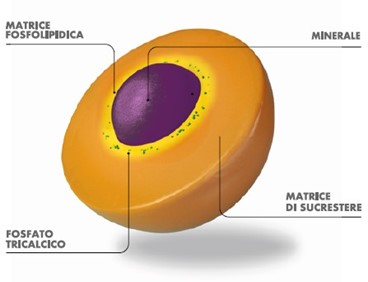 tecnologia sucrosomiale - immagine d'esempio di una molecola di minerale avvolta nel sucrosoma